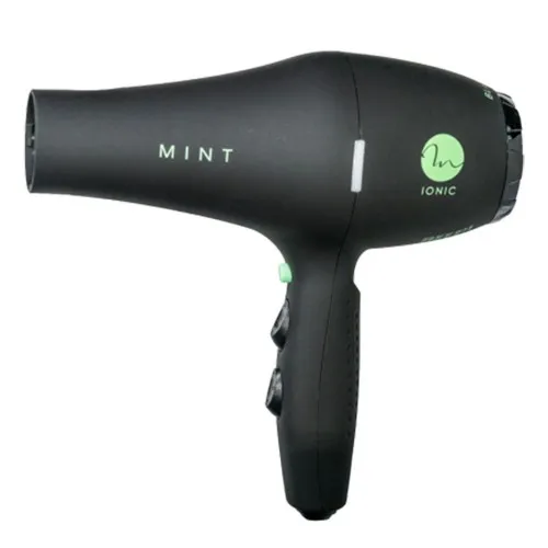 Mint Black Bird Ionic Dryer
