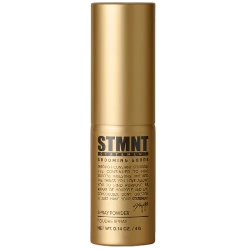 STMNT Spray Powder 4g